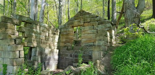 Ruins of a stone structure surrounded by lush green trees and grass in a forested area.