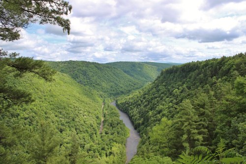 A scenic view of a lush green valley with a winding river, surrounded by rolling hills and a cloudy sky.