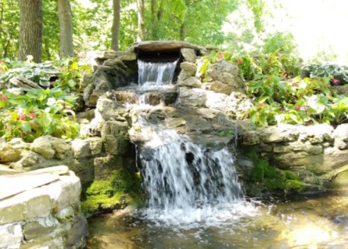 A serene waterfall cascading over rocks, surrounded by lush greenery and colorful flowers.