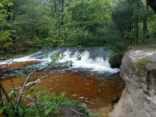 A serene waterfall cascades over rocks into a brownish pool, surrounded by lush green trees and foliage.