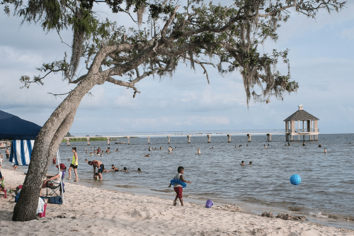 A beach scene with people swimming, playing, and relaxing under a tree, with a pier and gazebo in the background.