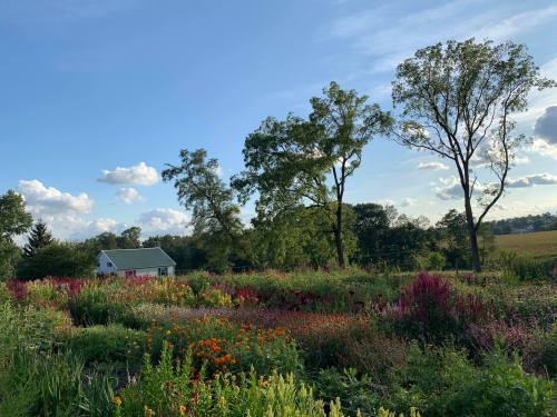 A vibrant garden filled with colorful flowers, a small white house, and tall trees under a blue sky with fluffy clouds.