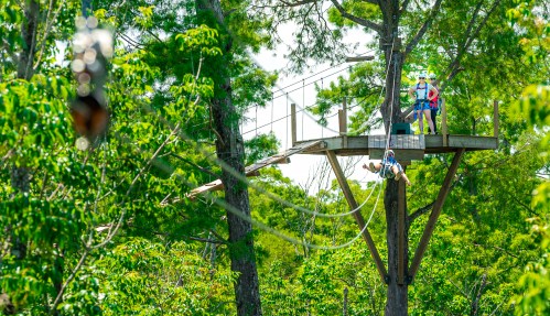 Two people in safety gear stand on a platform among trees, preparing for a zip line adventure.