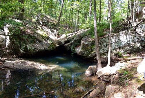 A serene forest scene featuring a rocky outcrop and a calm, clear pool of water surrounded by trees.