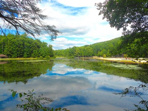 A serene lake surrounded by lush green trees and a cloudy blue sky, reflecting the landscape on its calm surface.