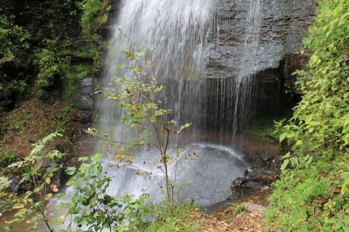 A serene waterfall cascading over rocky terrain, surrounded by lush greenery and a small pool at the base.