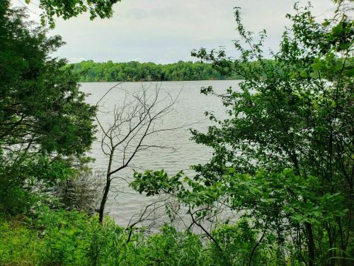 A serene view of a lake surrounded by lush greenery and trees under a cloudy sky.