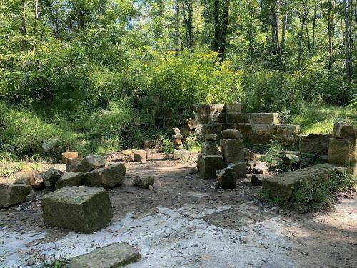 Ruins of stone structures surrounded by lush greenery in a forested area.