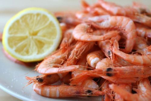 A plate of cooked shrimp with a slice of lemon on the side.