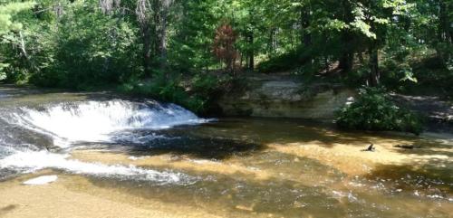 A serene river flows over rocks, surrounded by lush green trees and a sandy bank, creating a peaceful natural scene.