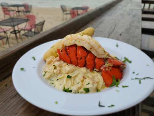 A plate of lobster tail and creamy mashed potatoes, garnished with herbs, set against a beachside backdrop.
