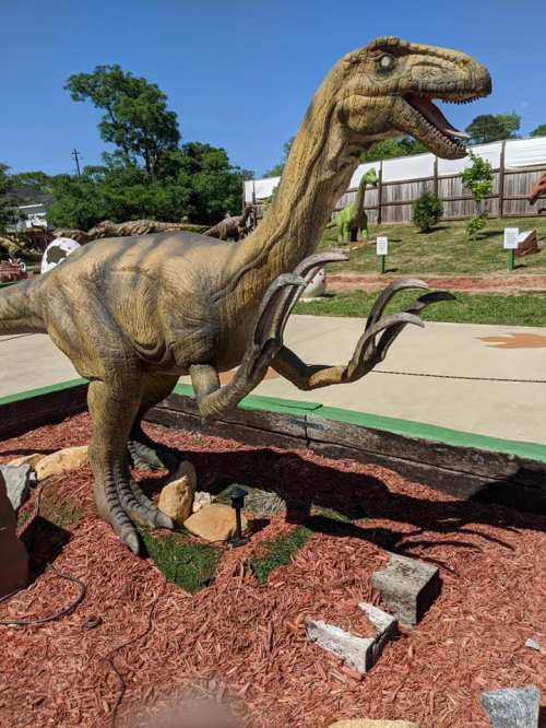 A life-sized dinosaur statue with sharp claws, standing on a landscaped area with rocks and grass.