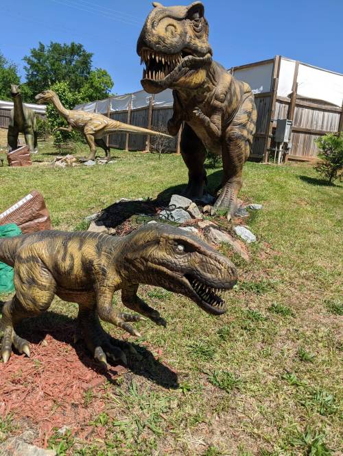 Two dinosaur sculptures, one large T. rex and a smaller one, in a grassy outdoor setting with other dinosaur figures in the background.