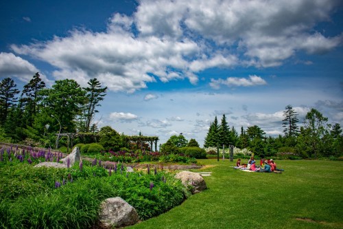 A scenic garden with colorful flowers, lush greenery, and a group of people sitting on the grass under a blue sky.