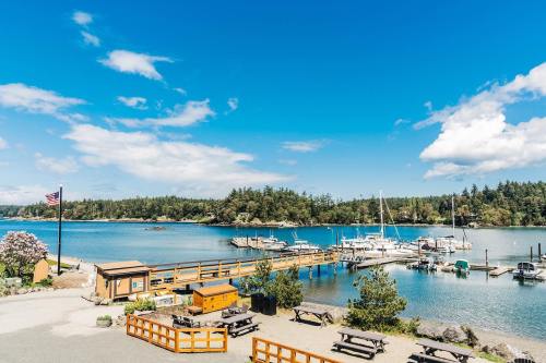 A scenic view of a marina with boats, picnic tables, and trees under a bright blue sky with fluffy clouds.