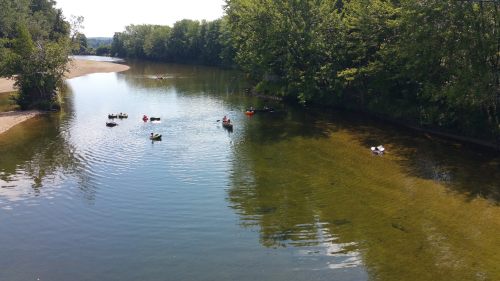 A serene river scene with kayakers and ducks surrounded by lush greenery and calm waters.