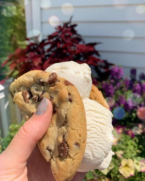 A hand holding two chocolate chip cookies with a scoop of vanilla ice cream in between, surrounded by colorful flowers.