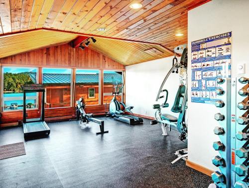 Bright gym with wooden walls, featuring exercise equipment, a treadmill, and large windows overlooking a scenic view.