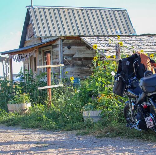 A rustic wooden house with a metal roof, surrounded by sunflowers, and a motorcycle parked nearby on a gravel path.