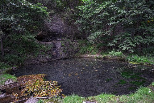 A serene pond surrounded by lush greenery and rocky cliffs, with fallen leaves floating on the water's surface.