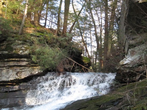 A serene waterfall cascading over rocks, surrounded by lush green trees in a tranquil forest setting.