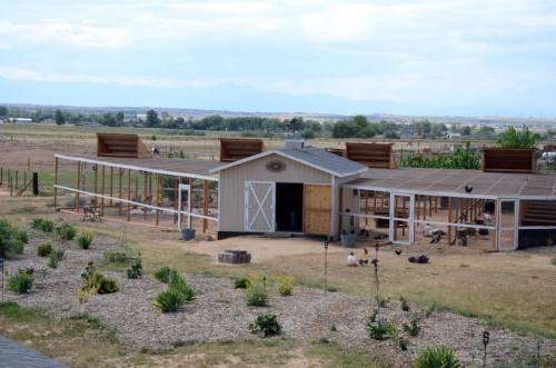 A spacious farmyard with a barn, fenced areas, and various plants, set against a backdrop of open fields and mountains.