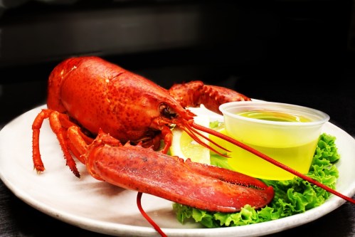 A cooked lobster on a plate with lettuce, lemon, and a small cup of dipping sauce.