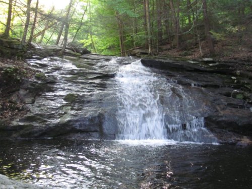 A serene waterfall cascading over rocky terrain, surrounded by lush green trees in a tranquil forest setting.