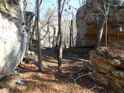 A hiker navigates a rocky, wooded area with tall trees and scattered leaves on the ground.