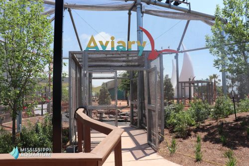 A pathway leads to an aviary entrance surrounded by greenery at the Mississippi Aquarium.