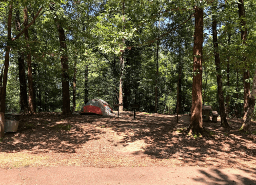 A campsite in a wooded area featuring a red and gray tent, picnic table, and trash can under a canopy of trees.