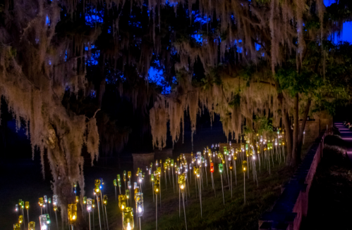 A serene night scene with illuminated bottles on poles beneath a moss-covered tree, creating a magical atmosphere.