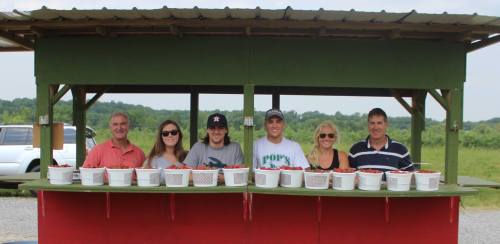 A group of six people stands behind a counter filled with buckets of strawberries at a farm.