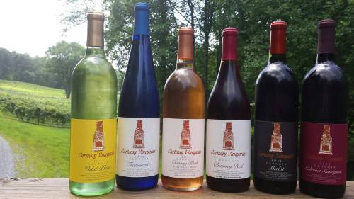 A selection of six wine bottles in various colors, displayed outdoors with a vineyard in the background.