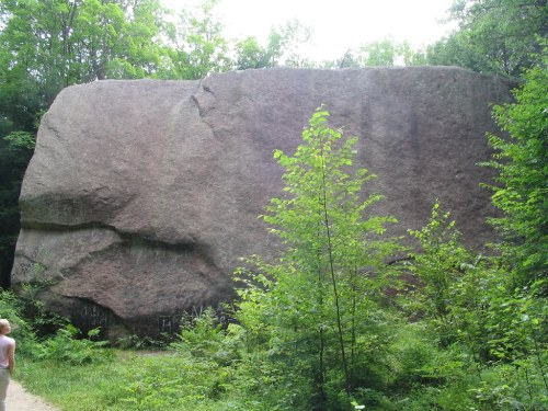 A large boulder surrounded by greenery, with a person walking nearby on a path.