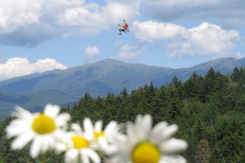 A person zip-lining over a lush green forest with mountains in the background and daisies in the foreground.
