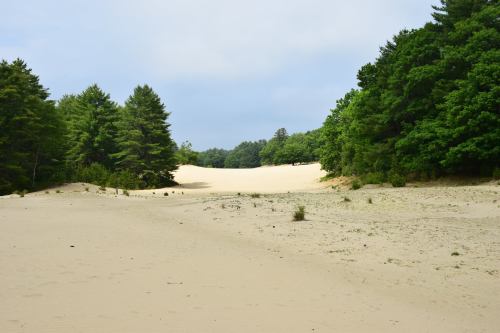 A sandy landscape with a gentle slope, bordered by lush green trees under a cloudy sky.