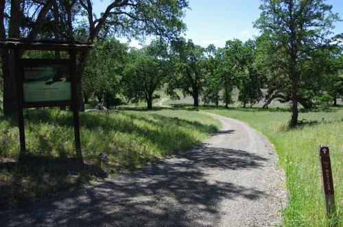 A winding gravel path through a green landscape with trees and a trail sign on the left.