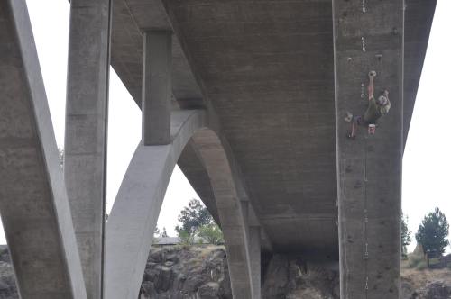 A climber ascends a vertical rock face beneath a concrete bridge, surrounded by rocky terrain and trees.