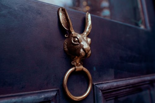 A decorative brass door knocker shaped like a rabbit, mounted on a dark wooden door.