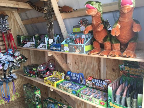 A wooden shelf displays various dinosaur-themed toys, fossils, and plush figures in a bright, organized space.