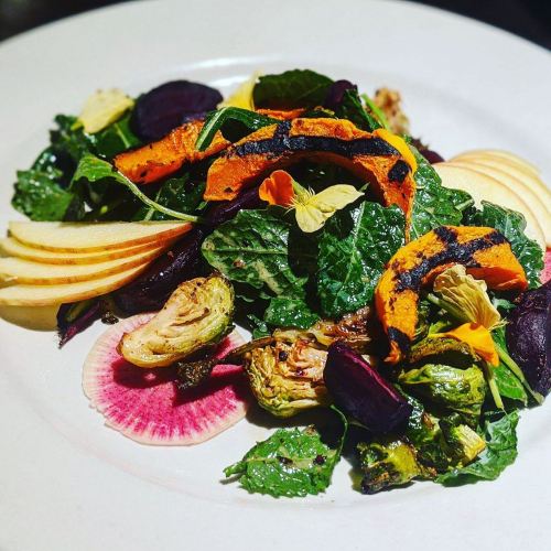 A vibrant salad with grilled squash, greens, apple slices, and edible flowers, garnished with radish and Brussels sprouts.