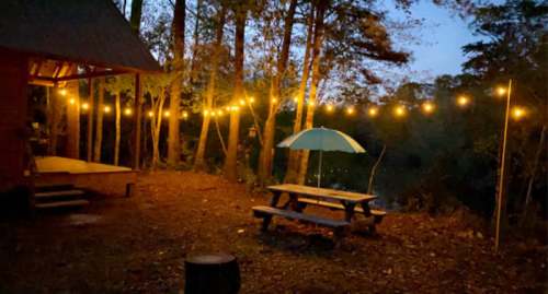 A cozy outdoor scene at dusk with string lights, a picnic table, and an umbrella surrounded by trees.