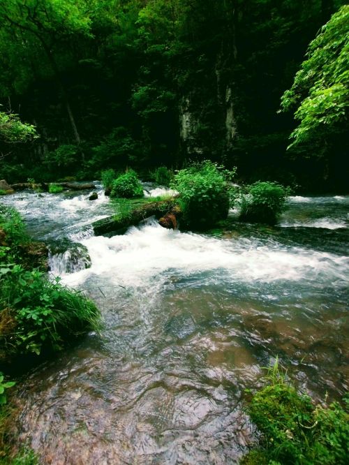 A serene river flows through a lush green landscape, surrounded by rocks and vibrant foliage.
