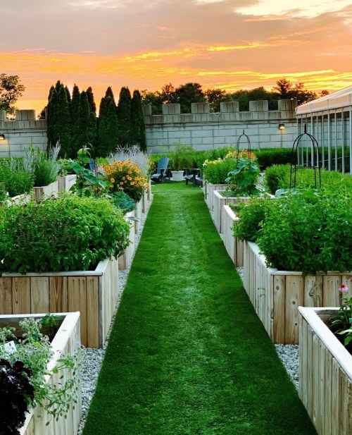 A vibrant garden with wooden planters, lush greenery, and a sunset sky in the background.
