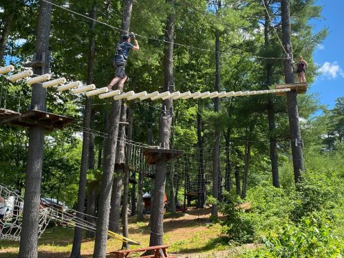 Two people navigate a high ropes course among trees, balancing on a narrow wooden bridge.