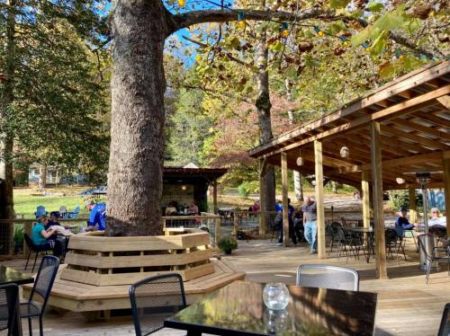 Outdoor dining area with wooden seating, surrounded by trees and people enjoying a sunny day.