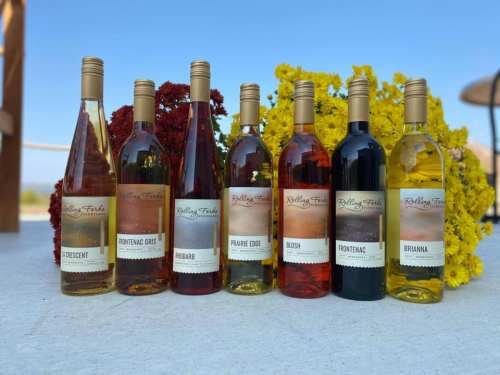 A selection of seven wine bottles arranged on a table, surrounded by colorful flowers and a clear blue sky.