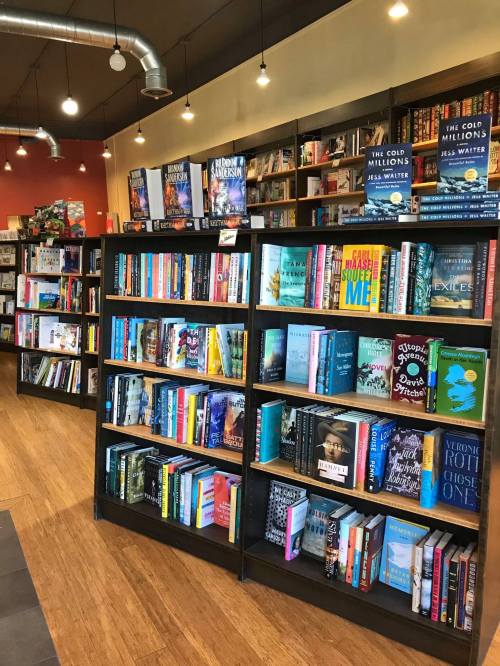 A cozy bookstore interior featuring shelves filled with a variety of books and warm lighting.