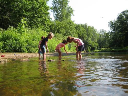 Children playing by a river, exploring the water and nature on a sunny day surrounded by greenery.